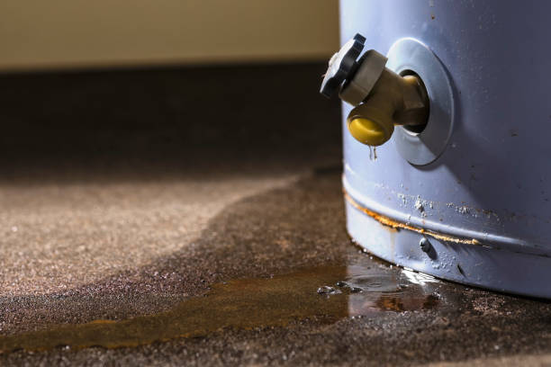 Best 24-hour water damage restoration  in Little Chute, WI