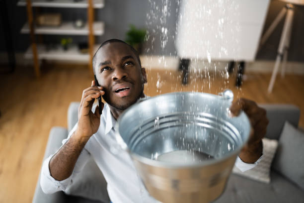 Best Water damage restoration near me  in Little Chute, WI