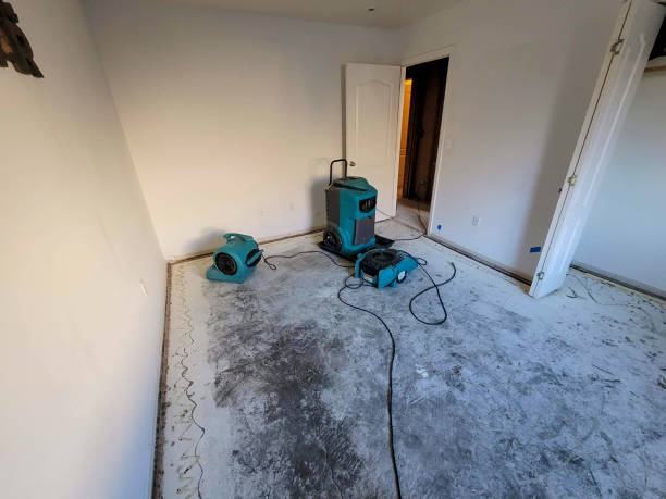 Best Local water damage restoration  in Little Chute, WI