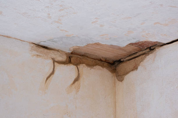  Little Chute, WI Water damage restoration Pros