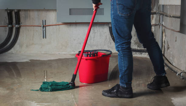 Best Fire Damage Restoration  in Little Chute, WI