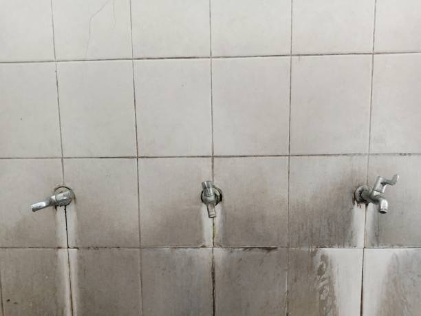 Best Water damage restoration cost  in Little Chute, WI