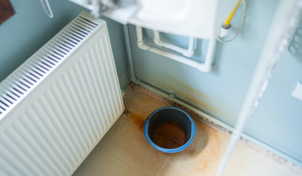 Best Water damage restoration services  in Little Chute, WI