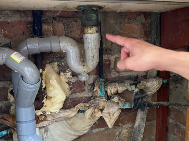 Best Emergency water extraction  in Little Chute, WI