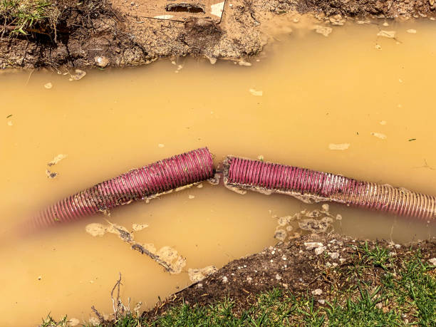 Best Basement water damage restoration  in Little Chute, WI