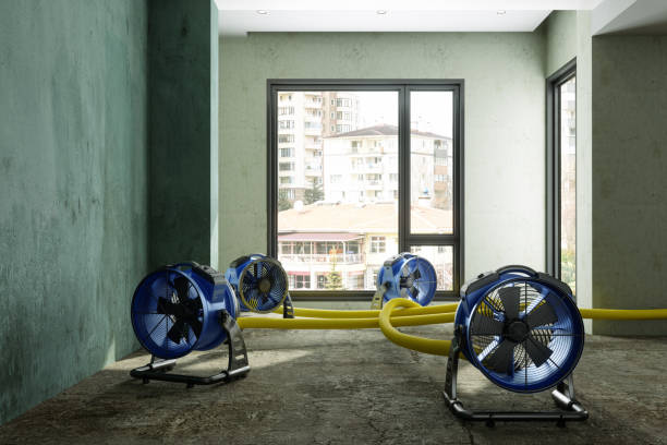 Best Water damage contractors near me  in Little Chute, WI