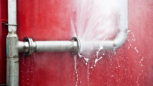 Best Mold removal after water damage  in Little Chute, WI